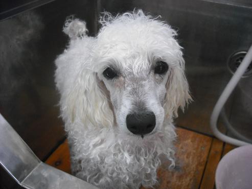 ファイル 566-2.jpg