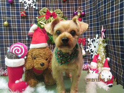 ファイル 5660-2.jpg