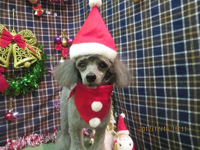 ファイル 5662-1.jpg