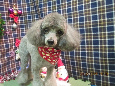 ファイル 5662-2.jpg