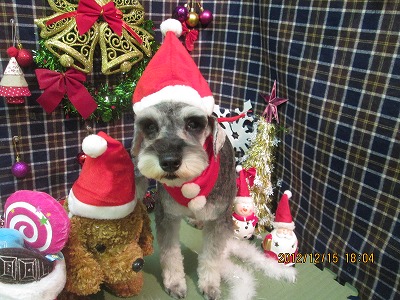 ファイル 5663-1.jpg