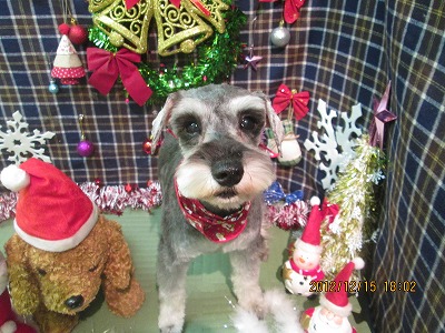 ファイル 5663-2.jpg