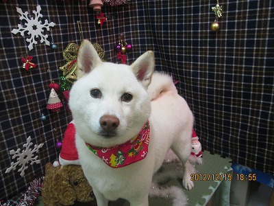 ファイル 5664-1.jpg