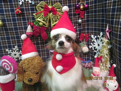 ファイル 5665-1.jpg