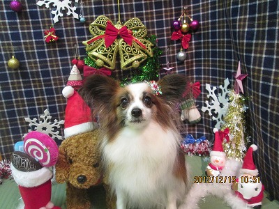 ファイル 5665-2.jpg