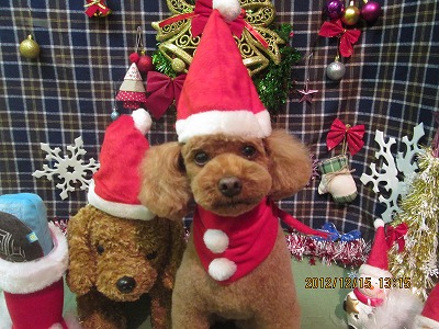 ファイル 5666-1.jpg