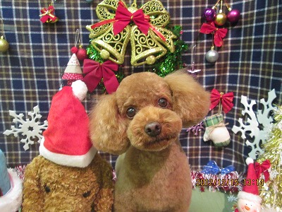 ファイル 5666-2.jpg