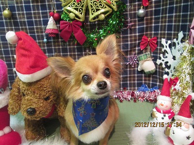 ファイル 5667-1.jpg