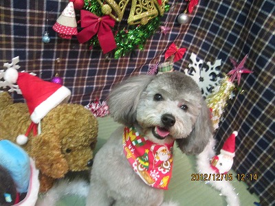 ファイル 5668-2.jpg