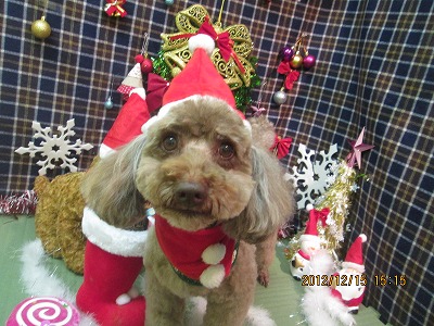 ファイル 5669-1.jpg