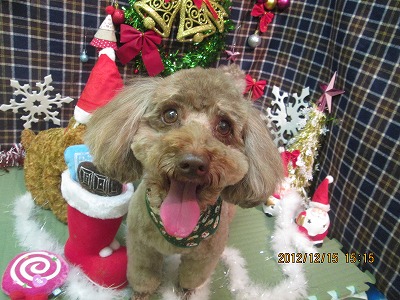 ファイル 5669-2.jpg