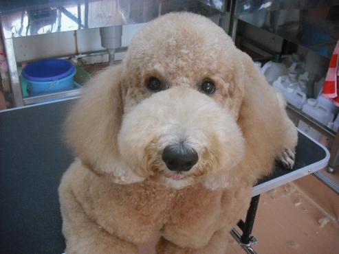 ファイル 567-1.jpg