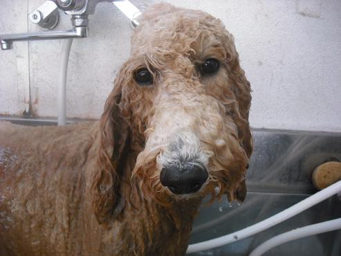 ファイル 567-2.jpg