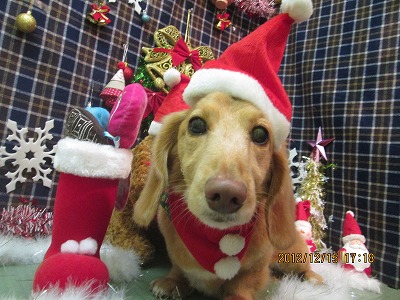 ファイル 5670-1.jpg