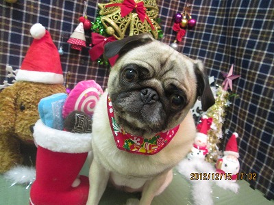 ファイル 5671-2.jpg