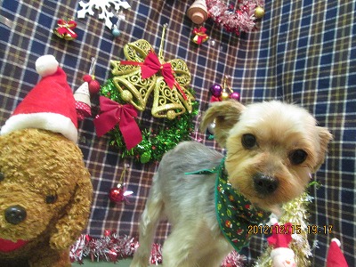 ファイル 5672-2.jpg