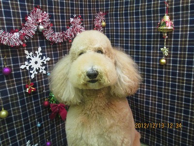 ファイル 5673-1.jpg