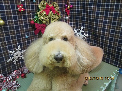 ファイル 5673-2.jpg