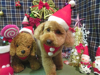 ファイル 5674-1.jpg