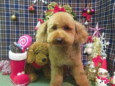 ファイル 5674-2.jpg