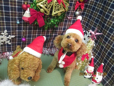 ファイル 5675-1.jpg