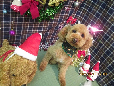 ファイル 5675-2.jpg