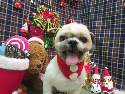 ファイル 5676-2.jpg