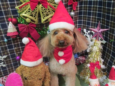 ファイル 5677-1.jpg