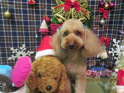 ファイル 5677-2.jpg