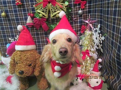 ファイル 5678-1.jpg