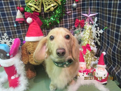 ファイル 5678-2.jpg