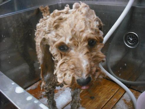 ファイル 568-2.jpg