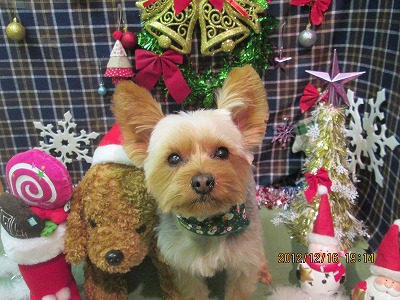 ファイル 5680-2.jpg