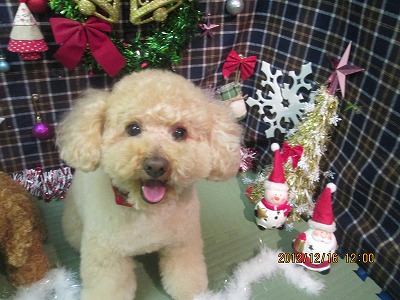 ファイル 5684-2.jpg