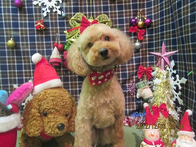 ファイル 5687-1.jpg