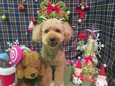 ファイル 5688-1.jpg