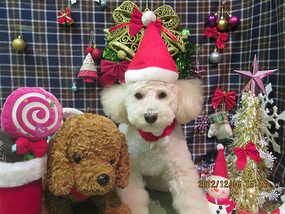 ファイル 5689-1.jpg