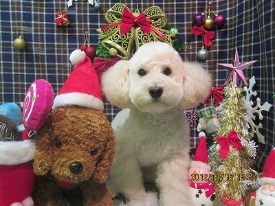 ファイル 5689-2.jpg