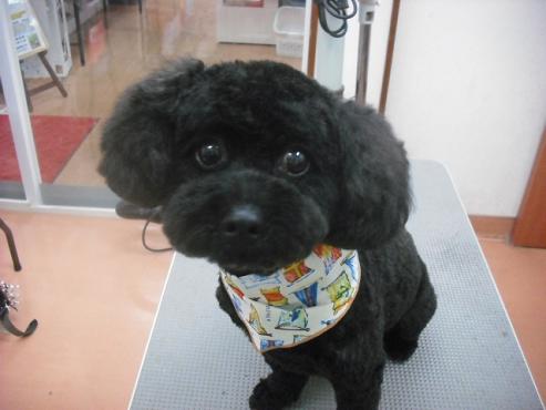 ファイル 569-1.jpg