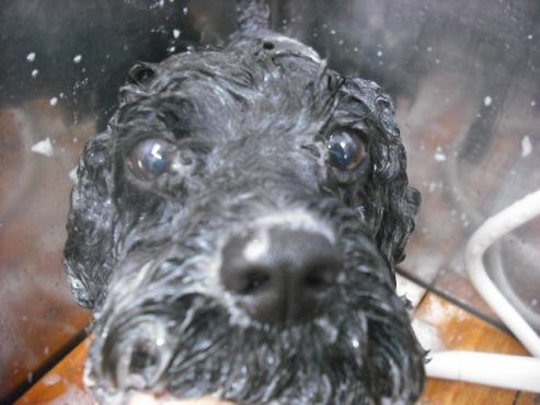 ファイル 569-2.jpg