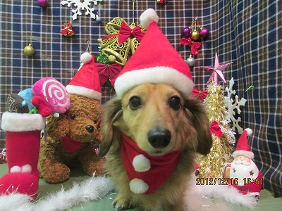 ファイル 5690-1.jpg