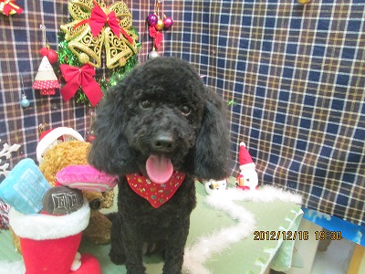 ファイル 5691-1.jpg