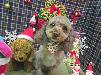 ファイル 5692-1.jpg