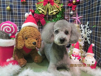 ファイル 5693-1.jpg