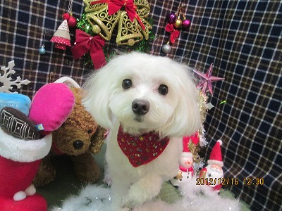 ファイル 5694-1.jpg