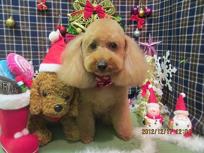 ファイル 5695-1.jpg