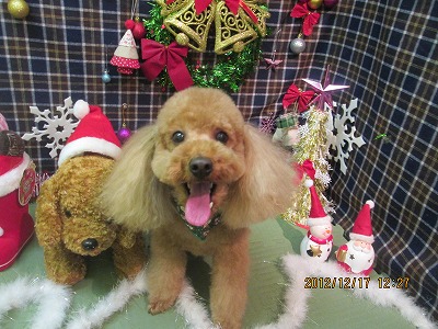 ファイル 5696-1.jpg