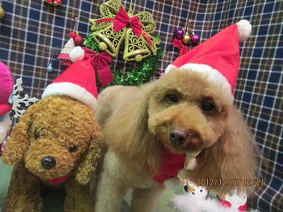 ファイル 5697-1.jpg