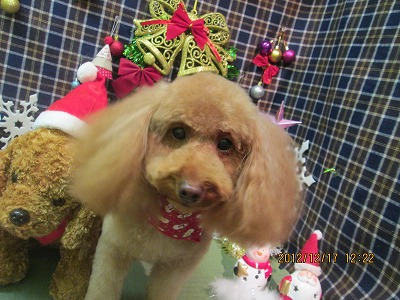 ファイル 5697-2.jpg