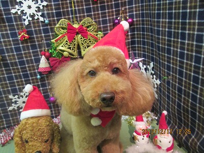 ファイル 5698-2.jpg